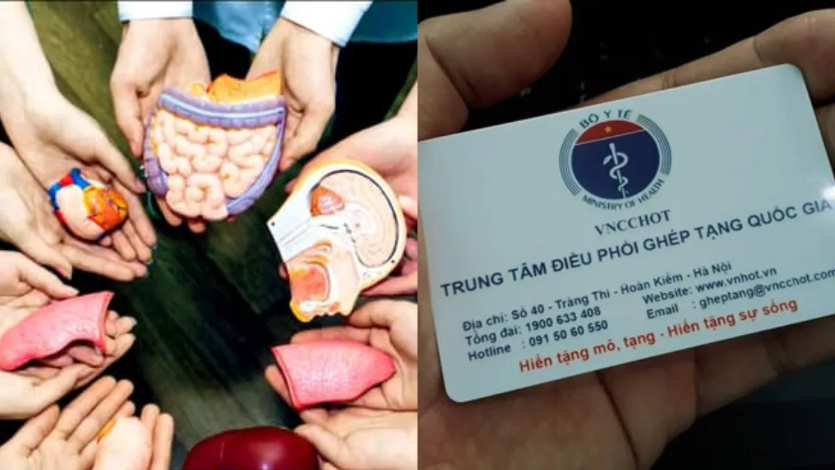 Đăng ký hiến tạng