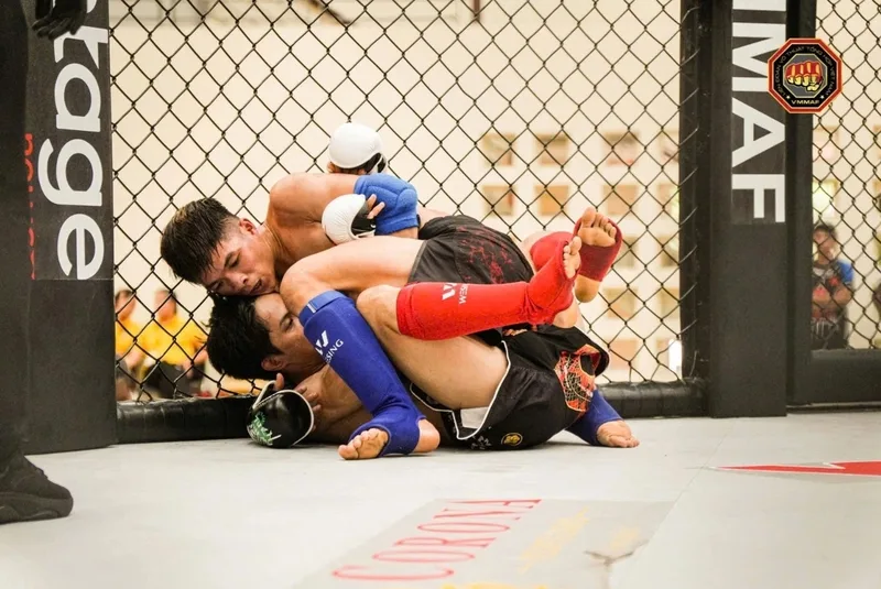MMA ngày càng phổ biến nhờ tính thực chiến, tốc độ cao, nhiều tình huống bất ngờ và sức hút từ các giải đấu lớn.