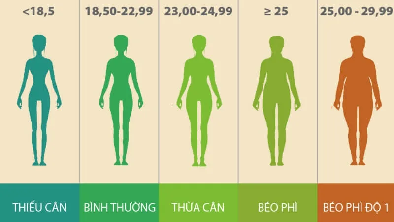 chi so bmi la gi