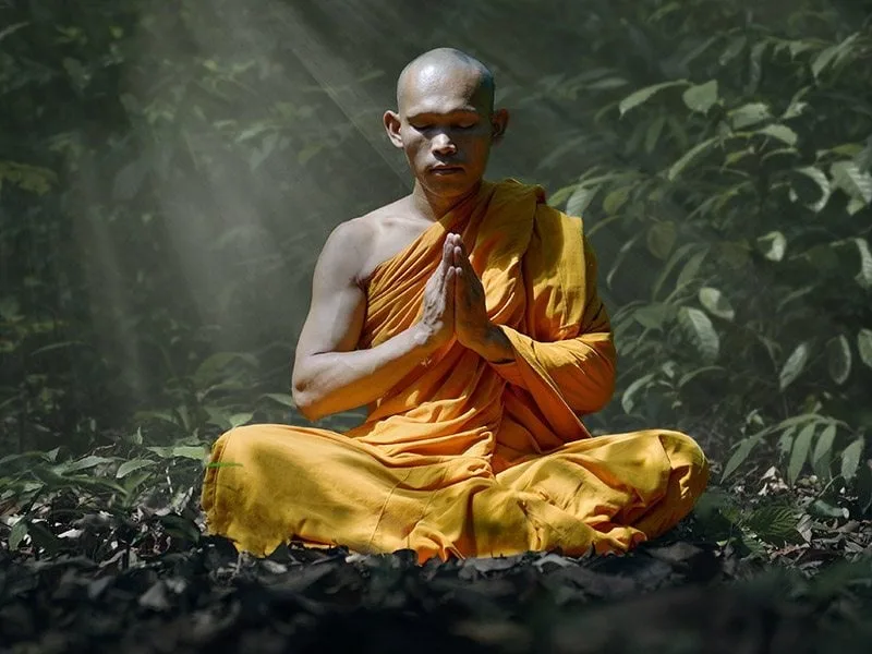 thien dinh la gi